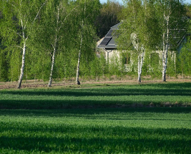 Būsto renovacijos skaitmenizavimas: išmanus energijos stebėjimo prietaisas prie namo, modernus interjeras.