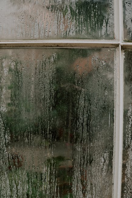 Kondensatas ant lango kambaryje, iliustruojantis drėgmės kontrolės poreikį