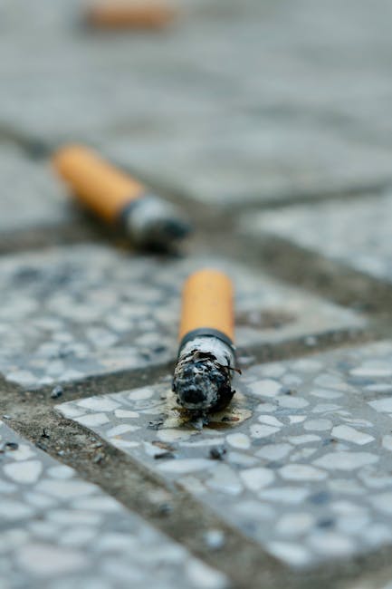 Užteršto rekuperatoriaus filtro apžiūra, parodanti dažną klaidą – nekeičiama filtrai