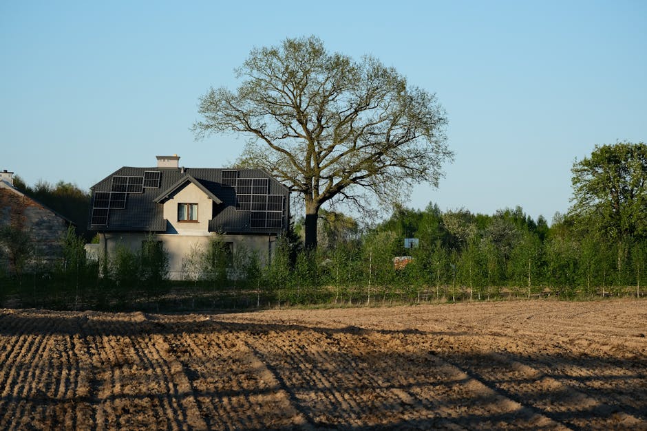 Vėjo, saulės ir tinklo sąveika: kaip sukurti hibridinę energijos sistemą namams (privalumai ir apribojimai)