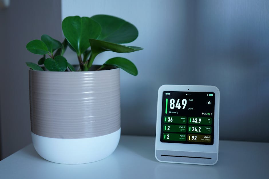 Namo savininkas žiūri į energijos suvartojimą telefone šalia apšviesto kambario
